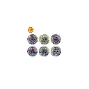 10237061-large_default.webp