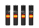 BANDERA 2A LINEA.webp