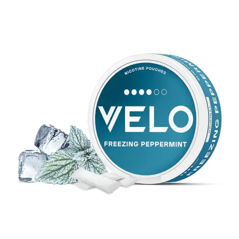 VELO-03.webp