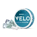 VELO-03.webp