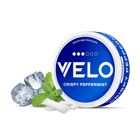 VELO-04.webp