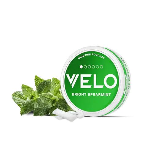 SPEARMINT.webp
