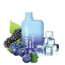 10237237-medium_default.webp