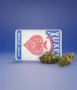 BOLSA CBD XUXES APPLEJACK 3GR