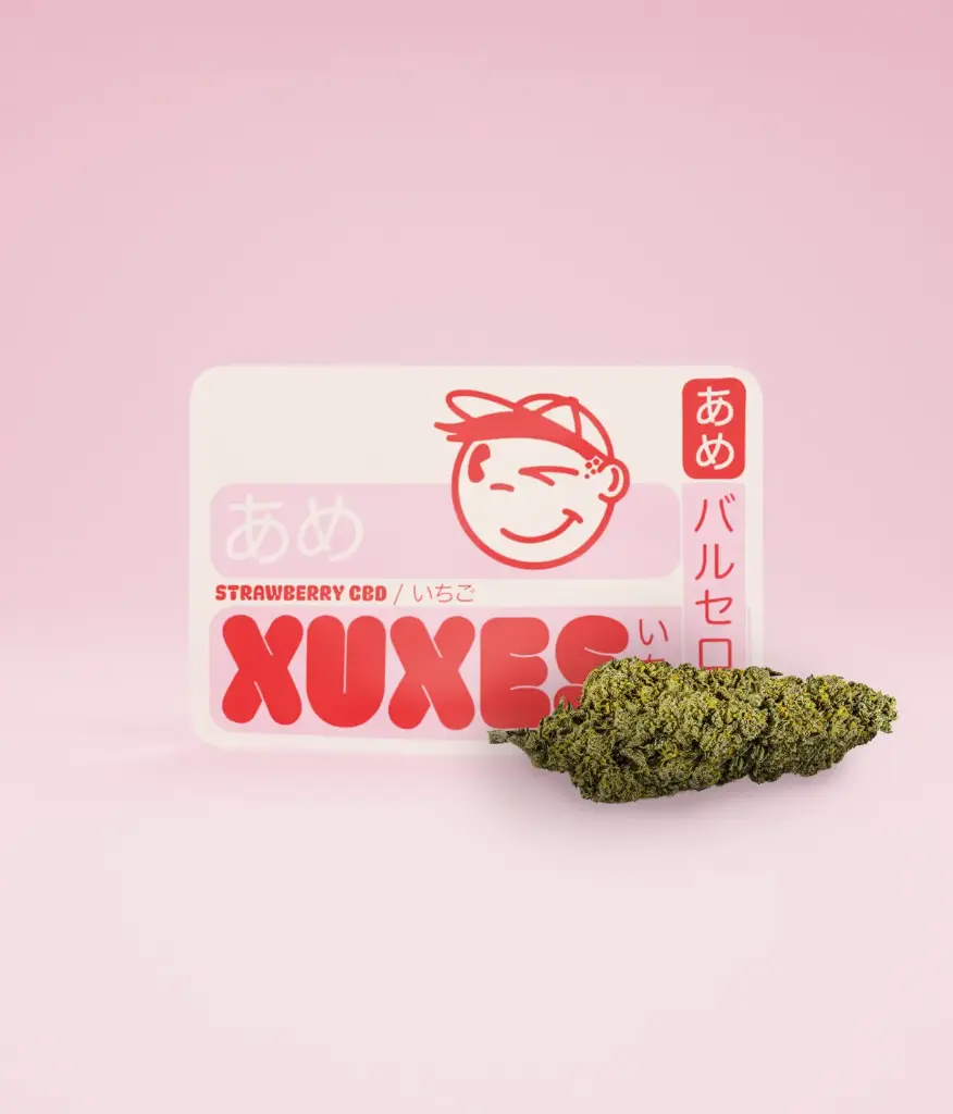 BOLSA CBD XUXES STRAWBERRY 3GR