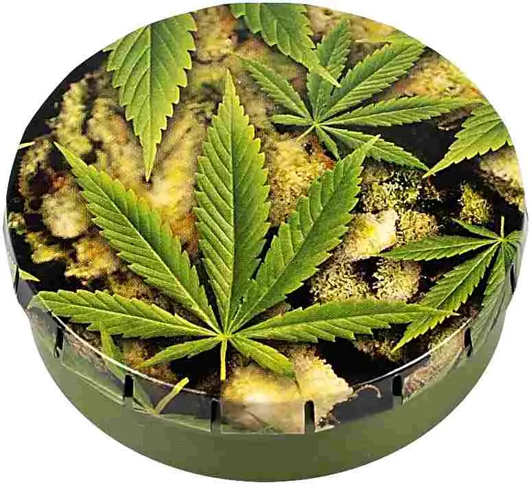 CLICK-CLACK 5,5CM BUDS+ LEAVES