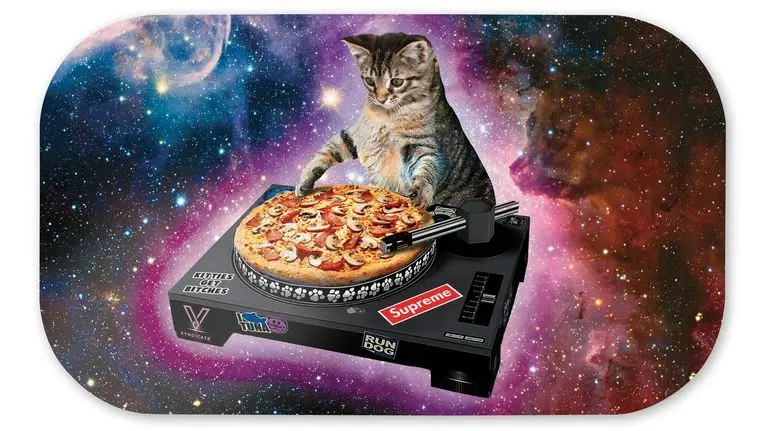 TAPA MAGNÉTICA PARA BANDEJA PEQUEÑA DJ CAT