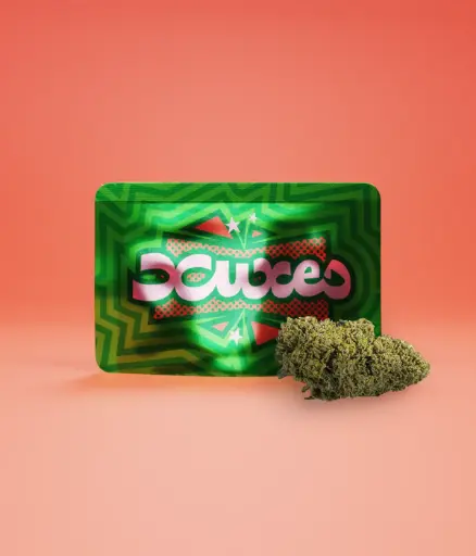 [XUXES-03] BOLSA CBD XUXES WATERMELON 3GR