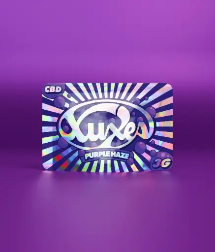 [XUXES-30] BOLSA CBD XUXES PURPLE HAZE 3GR