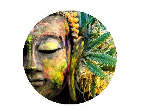 [CK172] CLICK-CLACK 5,5MM BUDDHA HEMP LEAF